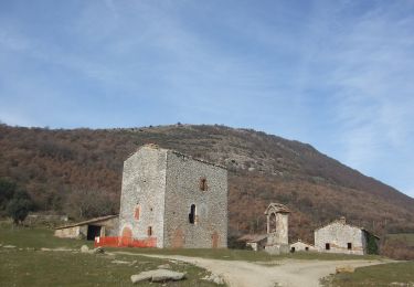 Excursión A pie Umbertide - Traversata di Monte Acuto - Photo