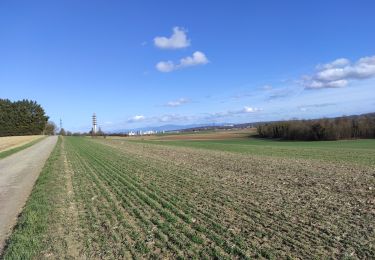 Randonnée Marche Heimsbrunn - Heimsbrunn Morsch Reiningue - Photo