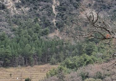 Tour Wandern Gigondas - gigondas crêtes nord de montmirail - Photo