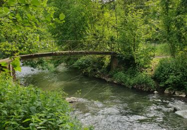 Tour Wandern Ham-sur-Heure-Nalinnes - Adeps Jamioulx 230529 - Photo