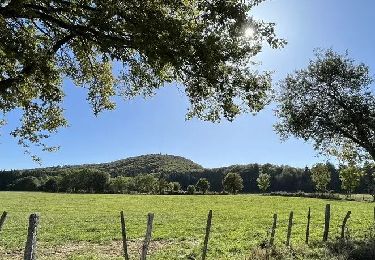 Trail Walking Charbonnières-les-Varennes - Beaunit_Narse_JG_02 - Photo
