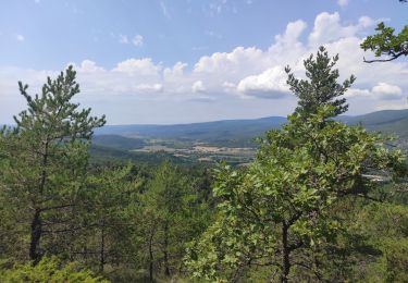 Randonnée Marche Rustrel - Colorado provençal - Photo