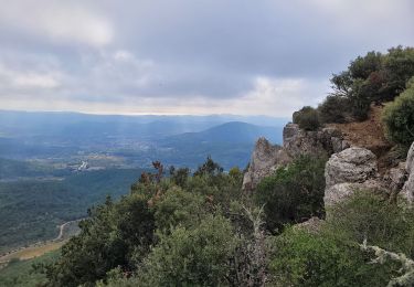 Randonnée Marche Rocbaron - le pilon Saint Clément et les barres de Cuers - Photo