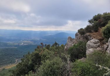 Percorso Marcia Rocbaron - le pilon Saint Clément et les barres de Cuers - Photo