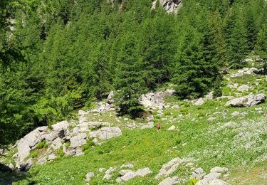 Tocht Stappen Saint-Martin-Vésubie - Boreon Trecolpas pas de Ladre Cougourde - Photo