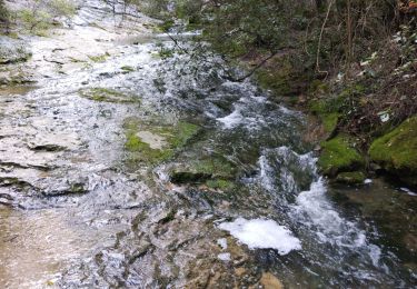 Trail Walking Auriol - les Encanaux  - Photo