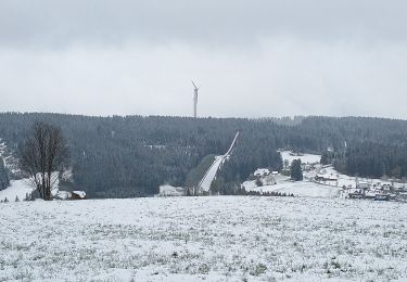 Tocht Stappen Schonach im Schwarzwald - ParadiesHof Schonach - Photo