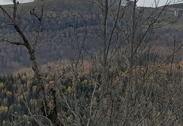 Tocht Stappen Saint-Lary-Soulan - Soulan - les granges de Lias - Soulan - Photo