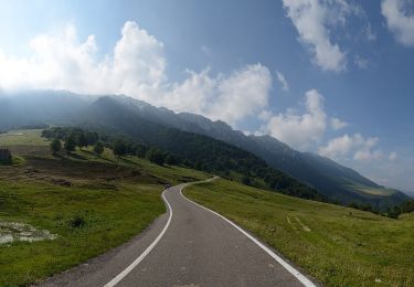 Excursión A pie Avio - Strada della Selva - Photo