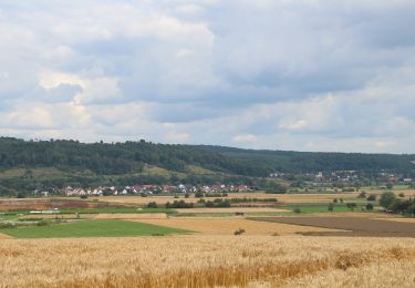 Tocht Te voet Weimar (Lahn) - [W6] Ortsrundweg Niederweimar - Oberweimar - Niederweimar - Photo