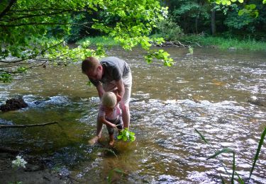 Tocht Stappen Houffalize - GrWandARd 36: Grande-Mormont het fraaiste van de Oostelijke Ourthe - Photo