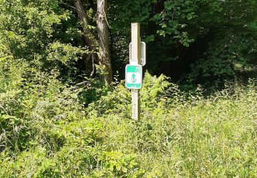 Trail Walking Mettet - Pontaury Bambois - Photo