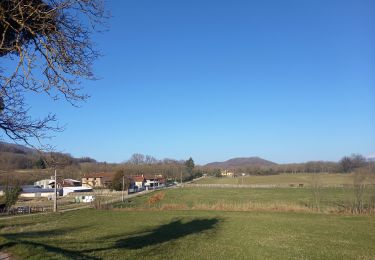 Tocht Stappen Cras - Etang de Tullins - Photo