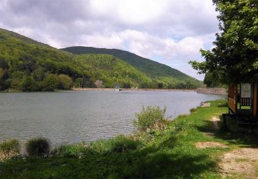 Excursión A pie okres Trenčín - Po skale na Baske - Photo