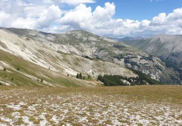 Trail Walking Thorame-Basse - Cheval Blanc - Photo