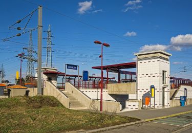 Tour Zu Fuß Petingen - Auto-Pédestre Pétange - Photo