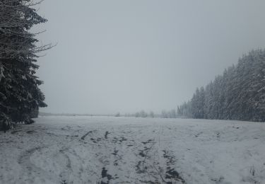 Randonnée Marche Theux - petit tour à Bronromme - Photo