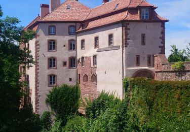 Tocht Stappen Sparsbach - Sparsbach /La Petite Pierre  - Photo