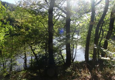 Excursión Bici de montaña Habay - forêt d Anlier - Photo