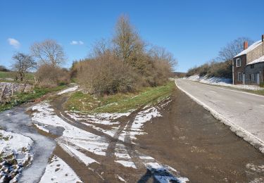 Tour Wandern Beauraing - Feschaux 110221 - Photo