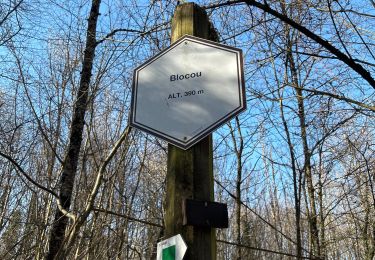 Trail sport Musson - Musson - Photo