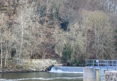 Percorso Marcia Saint-Jean-sur-Mayenne - Le 19 02 2023 - Photo