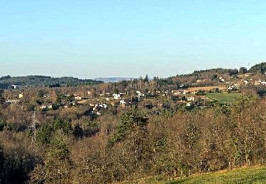 Excursión Senderismo Paslières - Paslieres_Montpeyroux_Pas_Loup - Photo