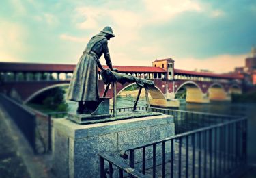 Tocht Te voet Pavia - Anello di Borgoticino - Photo