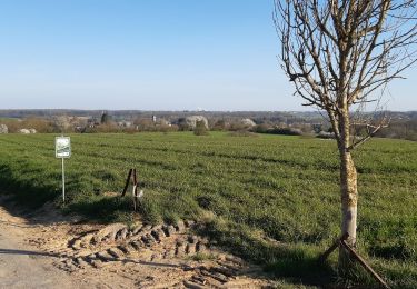 Tour Wandern Havelange - Gros-Chêne  Méan  Maffe - Photo