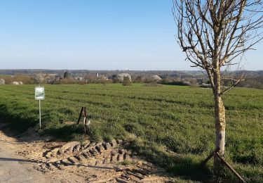 Randonnée Marche Havelange - Gros-Chêne  Méan  Maffe - Photo