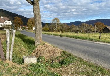 Tour Zu Fuß Val-de-Ruz - Grand Chezard-Villars - Photo