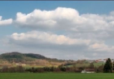 Tour Wandern Bellême - Bellême - La Chapelle-Montligeon 22 km - Photo