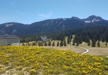 Tocht Stappen Fillière - Usillon le plateau des Gliéres - Photo