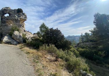 Trail Walking Saint-Rémy-de-Provence - Saint Rémy de Provence côté baux - Photo