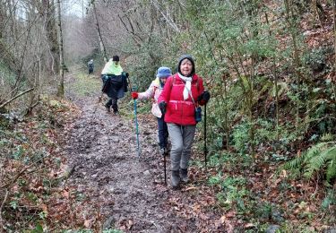 Tocht Stappen Lanne-en-Barétous - G4 lanne baretous fait - Photo