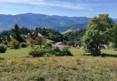 Tour Wandern Hohrod - Hohrodberg matin - Photo