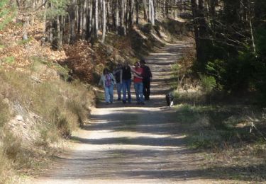 Randonnée A pied Carlsberg - Rundweg Rahnenhof 4 - Photo