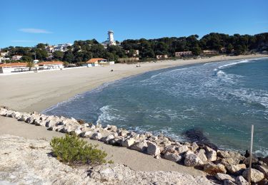 Trail Walking Martigues - Carro-Phare de Cap Couronne 8-1-22 - Photo