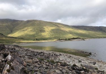 Excursión Senderismo  - Ecosse Clunie - Photo