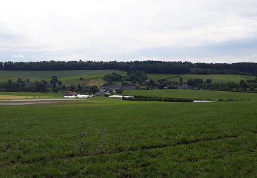 Tour Wandern Havelange - OSSOGNE TOUR 1 - Photo