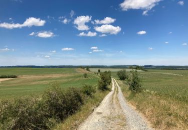 Tocht Stappen Somme-Leuze - Sentiers d’Art / Boucle Heure-Nettinne / 2020-06-01 / 17 km - Photo