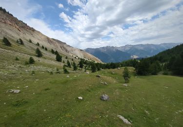 Excursión Senderismo Saint-Étienne-de-Tinée - Sommet de Chabanal - Photo