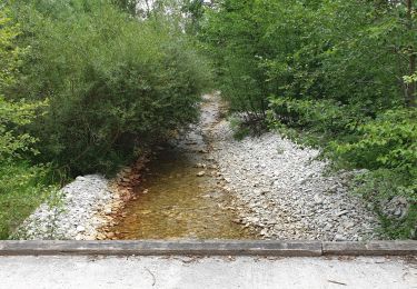 Trail Mountain bike Thorame-Basse - Camping petit cordeil Argens - Photo