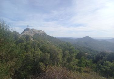 Tocht Stappen Évenos - Le Mont Caume 22.10.23 - Photo