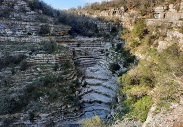 Excursión Senderismo Balazuc - Balazuc Gens Tombe du Géant 20km - Photo