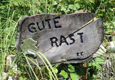 Percorso A piedi Gratwein-Straßengel - Wanderweg 1 - Photo