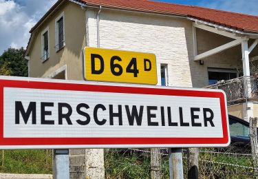 Percorso A piedi Merschweiller - Circuit Apach-Waldwisse - Photo