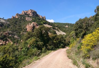 Percorso Mountainbike Saint-Raphaël - tour Estérel crêtes et vallon - Photo
