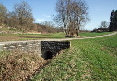 Randonnée A pied Bietigheim-Bissingen - Besen - Photo