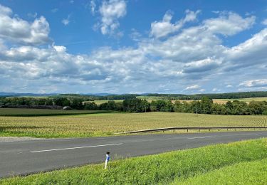 Tocht Te voet Bad Tatzmannsdorf - Lauf/Walkingweg L18 - Photo